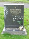 image of grave number 381387